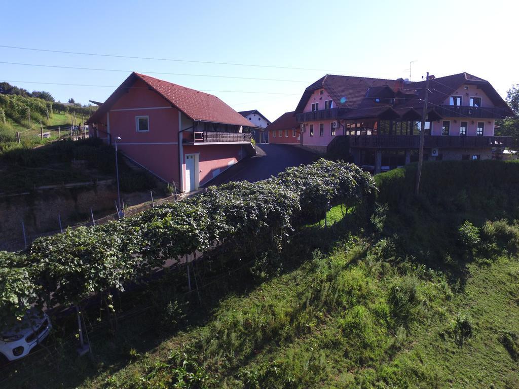 Guesthouse Kaučič Benedikt v Slovenskih Goricah Eksteriør billede