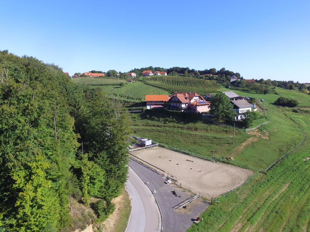 Guesthouse Kaučič Benedikt v Slovenskih Goricah Eksteriør billede